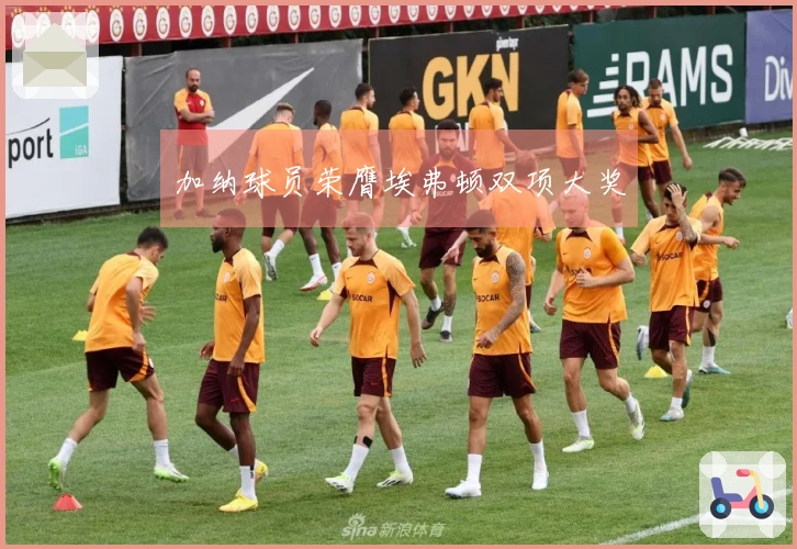 加纳球员荣膺埃弗顿双项大奖