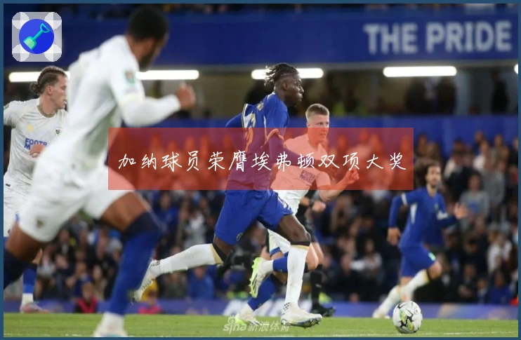 加纳球员荣膺埃弗顿双项大奖